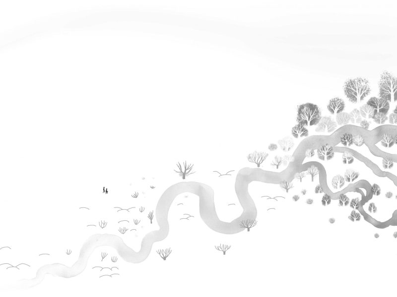 50-scaled